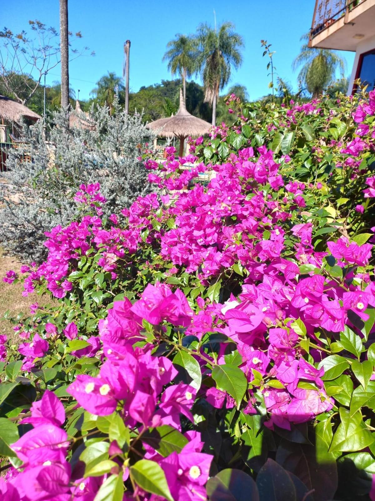 Independencia Resort Sport מראה חיצוני תמונה